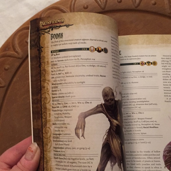 Pathfinder roleplaying game book #1 - Picture 15 of 17